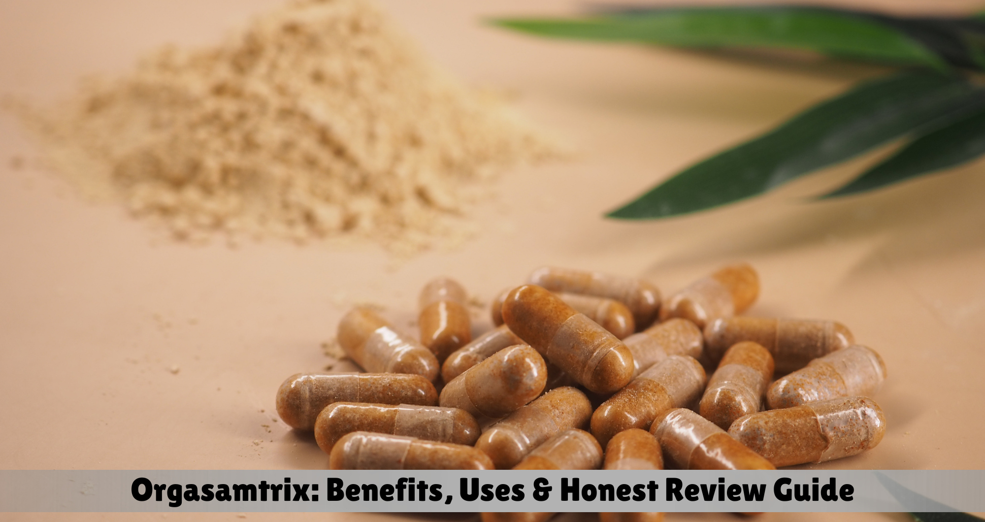 orgasamtrix