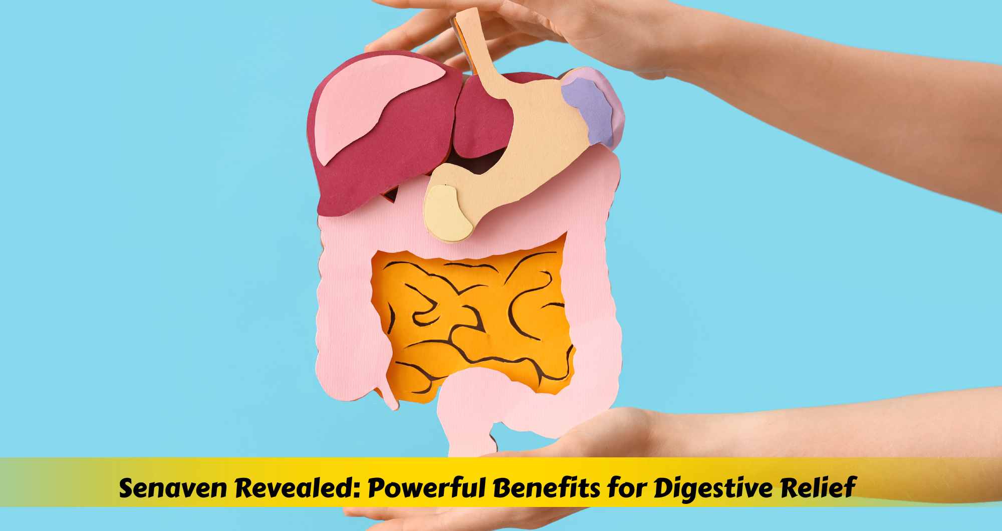 Senaven Revealed: Powerful Benefits for Digestive Relief