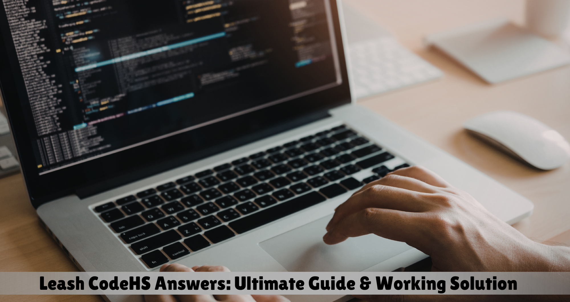 leash codehs answers